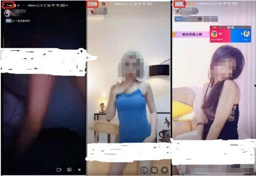 国产淫秽视频,暗流涌动的灰色地带